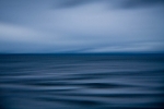 carkeek_02-06-11_211