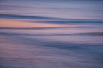 carkeek_park_4-25-11_065