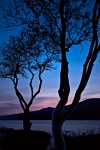 oregon_05-12-11_068_v3_0