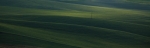 palouse_07-11_249-2