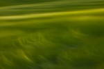 palouse_07-11_646