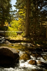 14-rock_creek_10-09_221