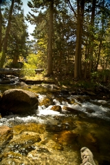 rock_creek_10-09_219