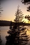 oregon_05_04_11_128