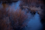 oregon_05_04_11_203