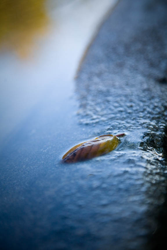 One On the Edge