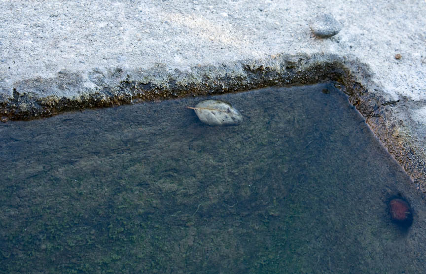 Leaf, Corner, Stone in Winter