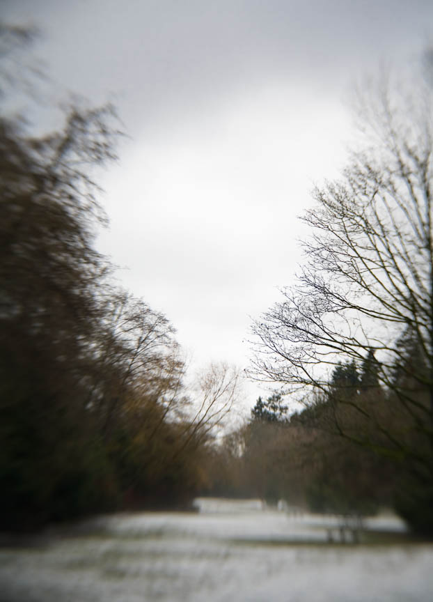 Winter Day in the Park