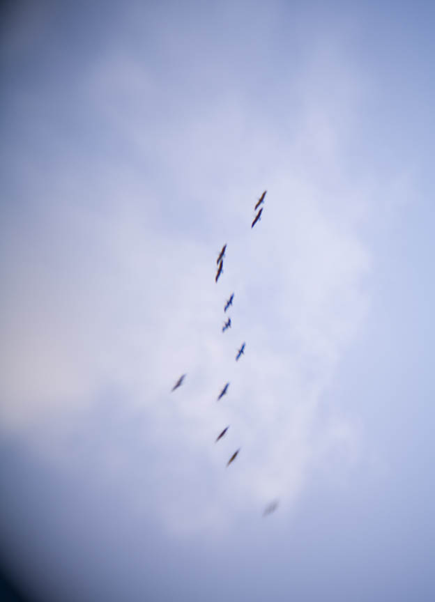 Floating on Air