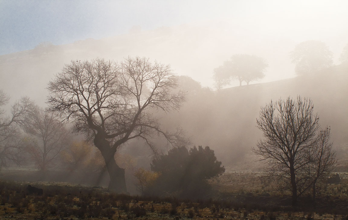 Piercing the Mist