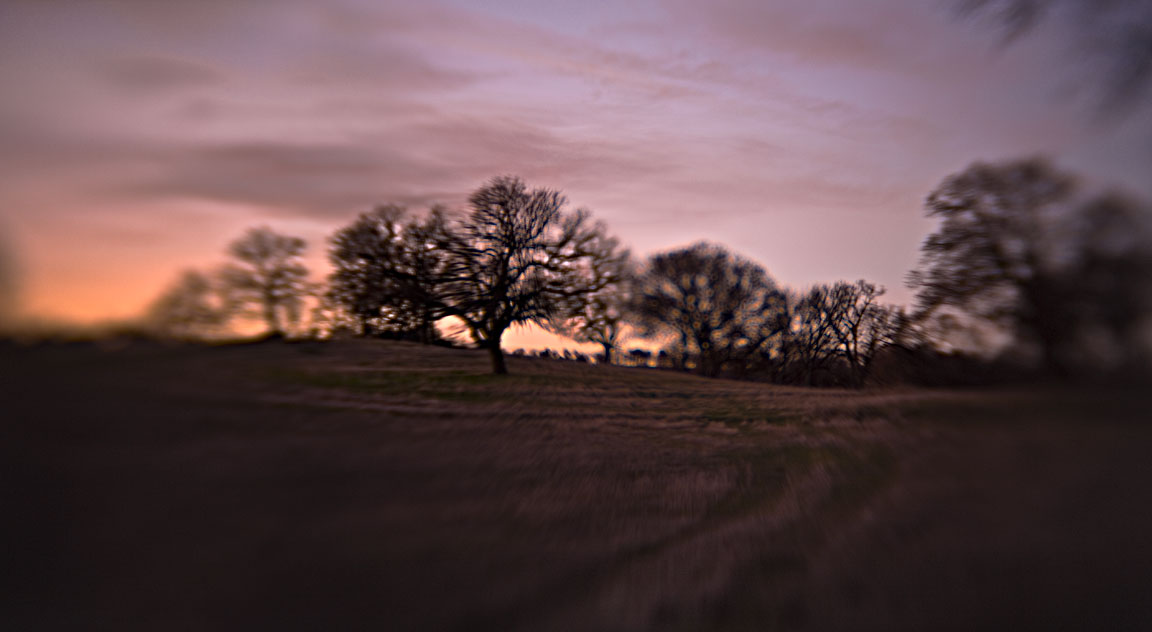 Lavender Dusk