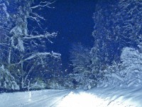 Driving Through the Snow Driving Through the Snow