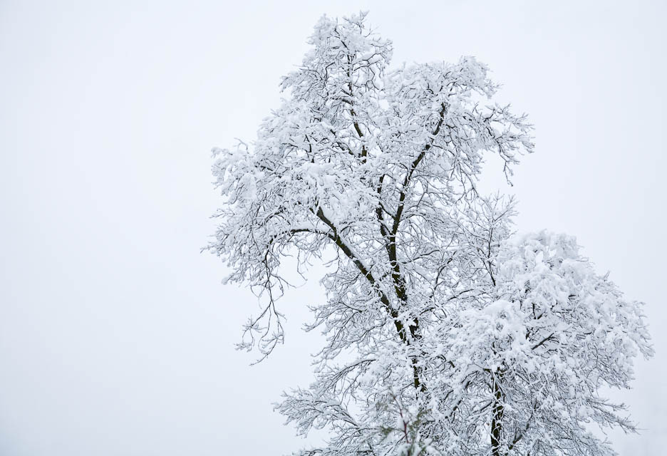 White Sky at Dawn