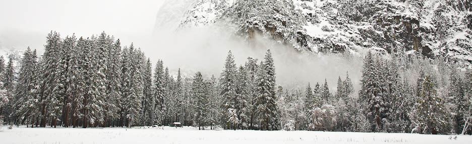 Snow Clad