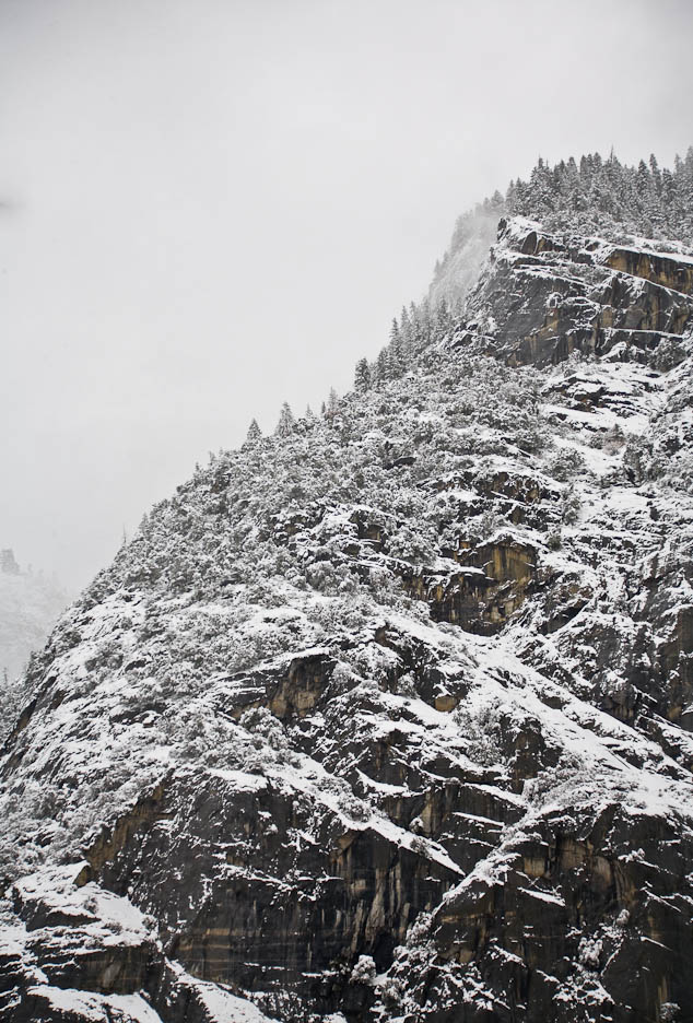 Yosemite Winter, #219