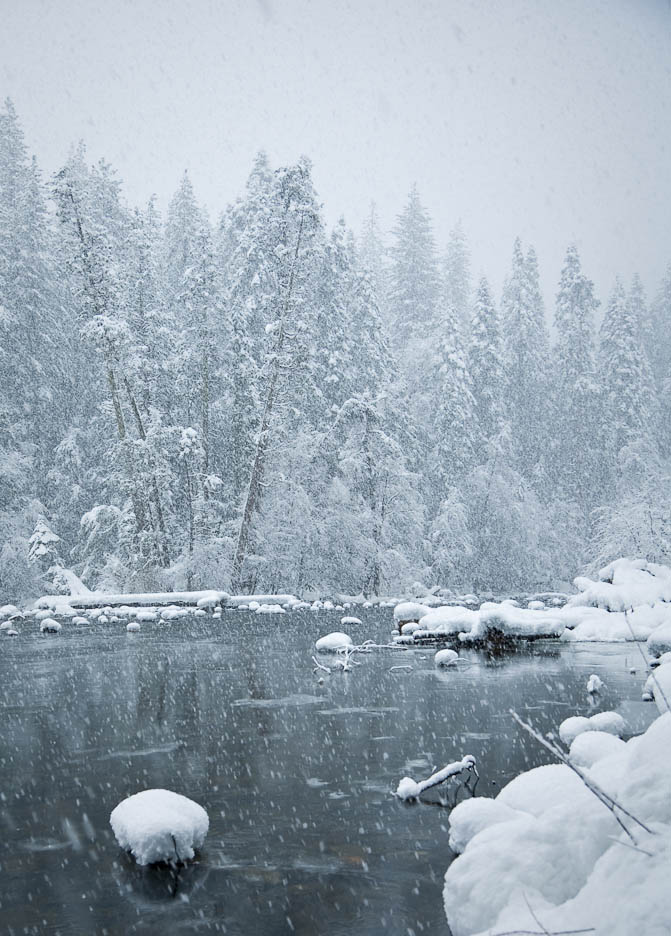 Winter in Yosemite, #320