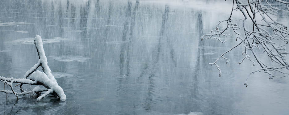 Winter in Yosemite, #351