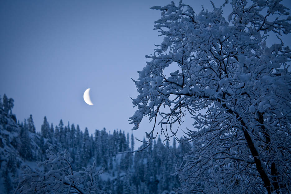 First Light