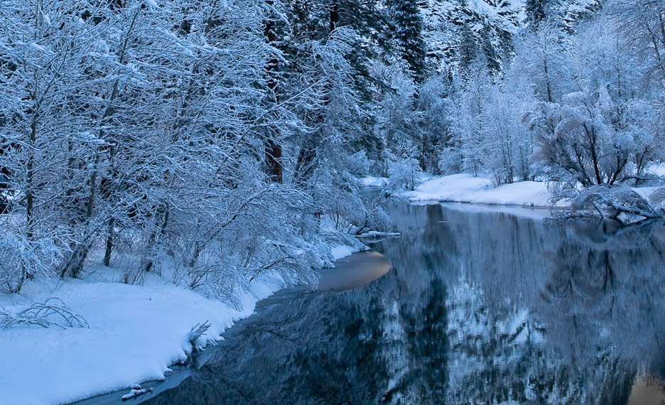 Crystal Trees