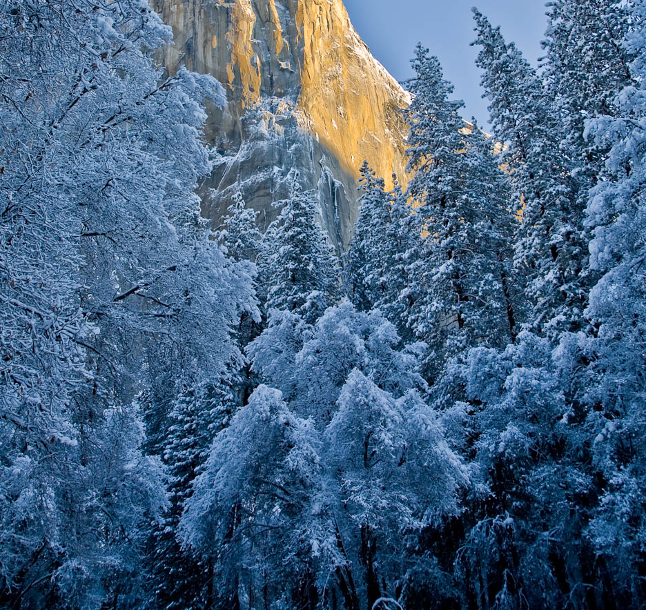 Yosemite Winter, # 72