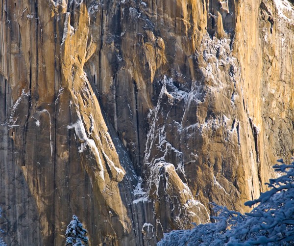 Heart of El Cap Heart of El Cap