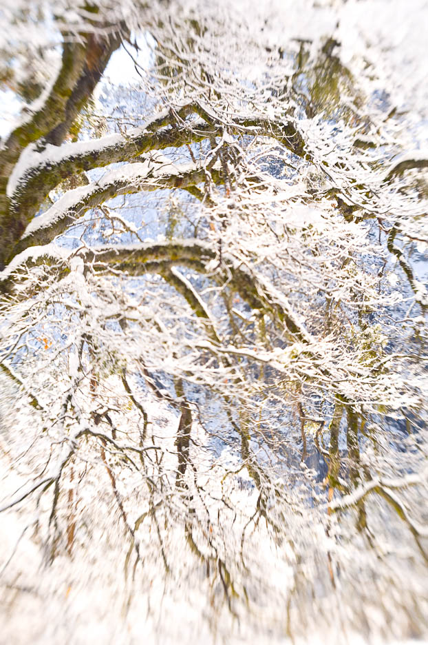 Yosemite Winter, #380