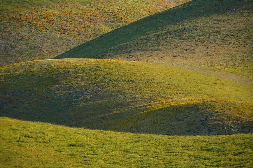 Spring in the Gorman Hills, #07
