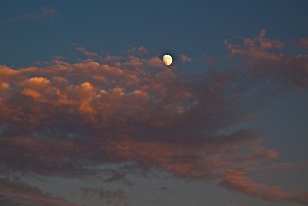 Sunset Moon