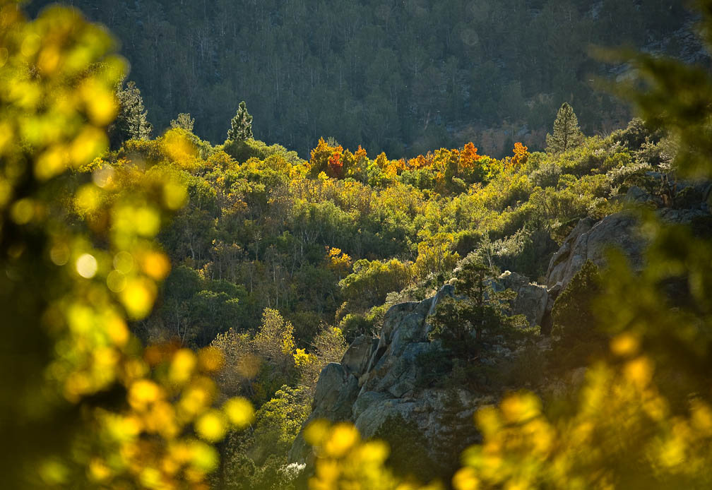 A Lofty Vision