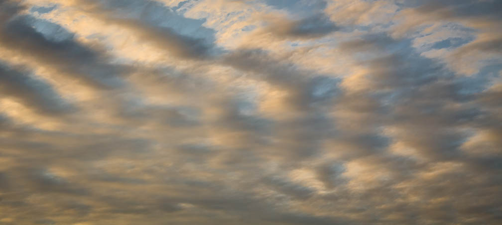 Altocumulus # 60