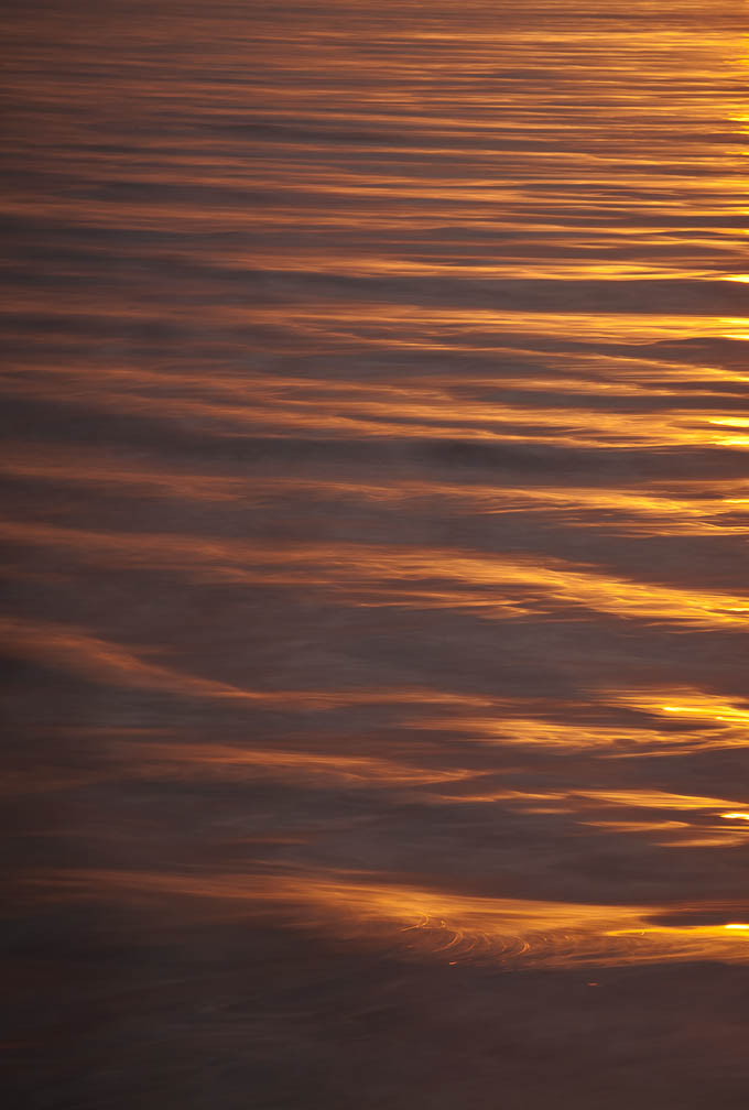 Sea of Gold # 142
