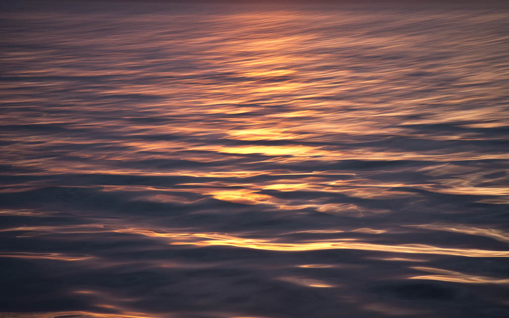 Liquid Gold on Puget Sound