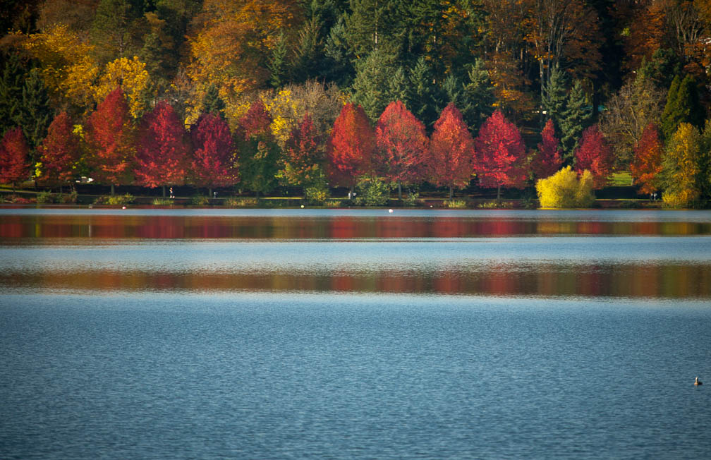 Fall at Green Lake in Seattle