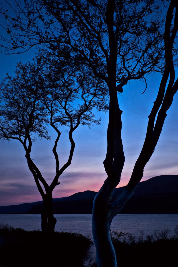 Dance of Twilight
