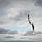 Flying High
