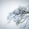 More Winter Lace