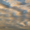 Altocumulus # 60