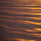 Sea of Gold # 142