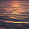 Liquid Gold on Puget Sound