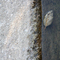 A Leaf in Winter