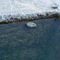Leaf, Corner, Stone in Winter