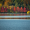 Fall at Green Lake in Seattle