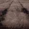 Lower Klamath Wildlife Refuge, #73