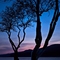 Dance of Twilight