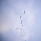 Floating on Air