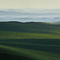 Dawn Renews the Palouse