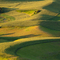 Palouse Hills