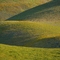 Spring in the Gorman Hills, #07
