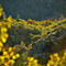 A Lofty Vision