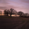 Lavender Dusk